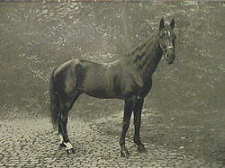���� � 1910 ����