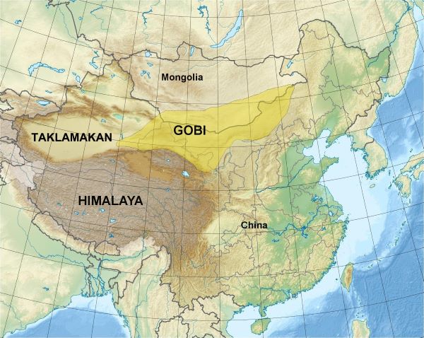 gobi